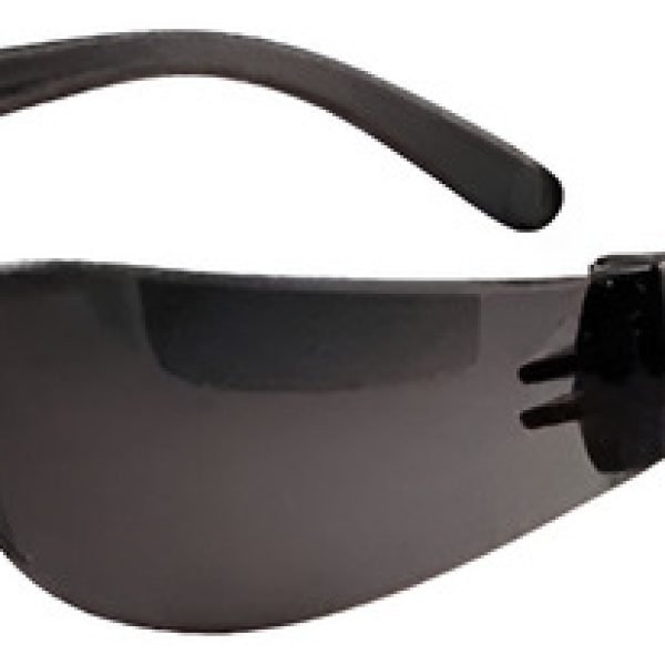 Gafas Ecolight Lente Oscuro Antiempañante